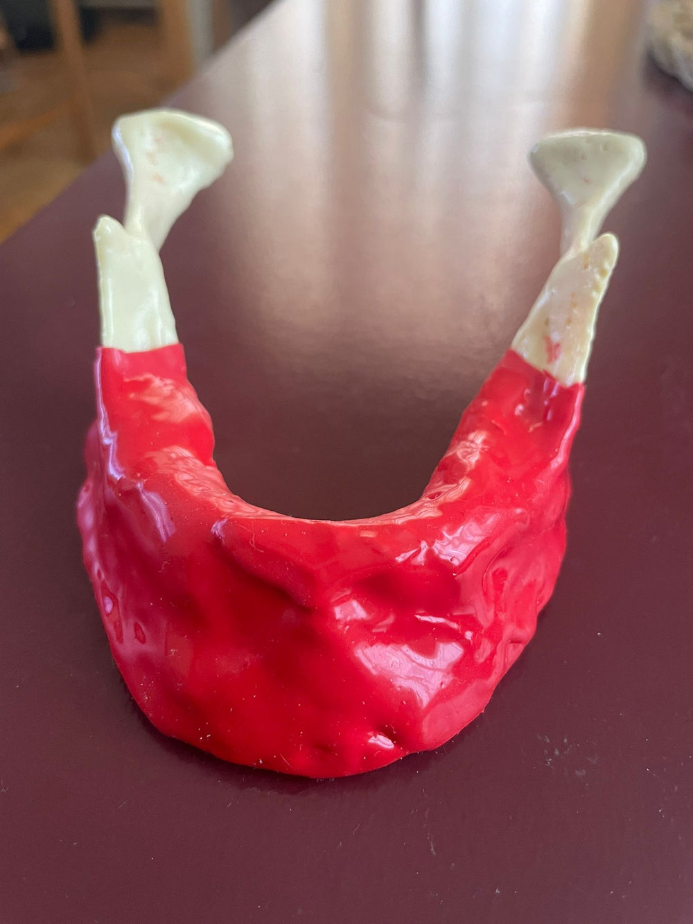 Anatomik Alt Çene (Mandibula) Cerrahi Eğitim Modeli